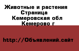  Животные и растения - Страница 2 . Кемеровская обл.,Кемерово г.